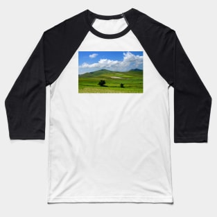 Fields Baseball T-Shirt